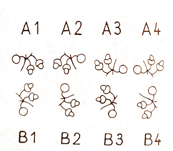 diosgyor vijelallas