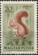 1953. Erdei állatok