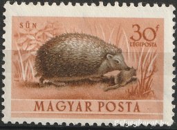 1953. Erdei állatok