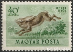 1953. Erdei állatok