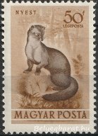 1953. Erdei állatok