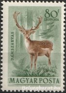 1953. Erdei állatok