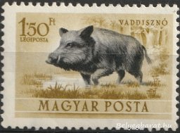 1953. Erdei állatok