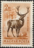 1953. Erdei állatok