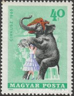 1965. Cirkusz