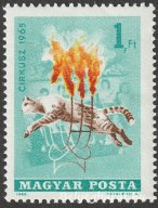 1965. Cirkusz
