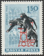 1965. Cirkusz