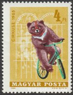 1965. Cirkusz