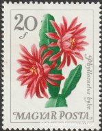 1965. Botanikus kertek virágai