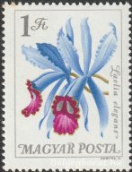1965. Botanikus kertek virágai