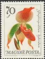 1965. Botanikus kertek virágai