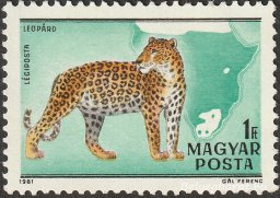 1981. Kittenberger Kálmán születésének 100. évfordulója
